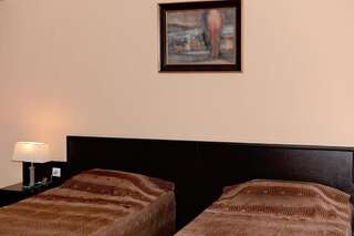 Отель Family Art-Hotel Zora Vratsa Двухместный номер с 1 кроватью или 2 отдельными кроватями-17